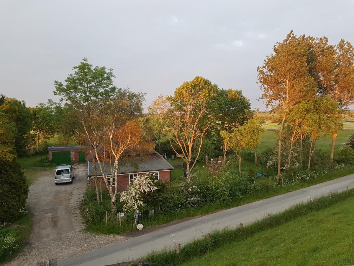 Diekblick - Kleiner Deichhof * Hattstedtermarsch
