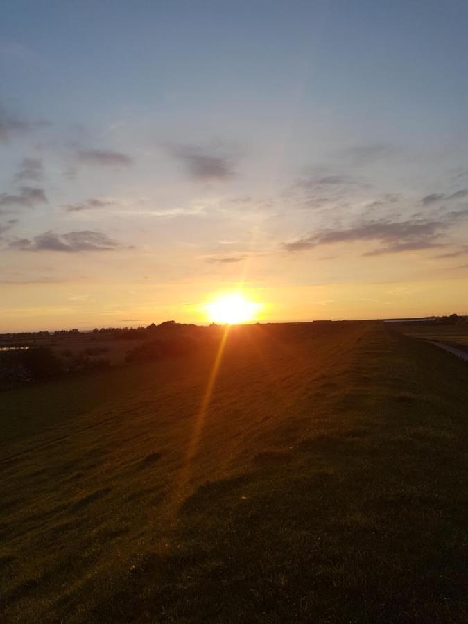 Diekblick - Kleiner Deichhof * Hattstedtermarsch