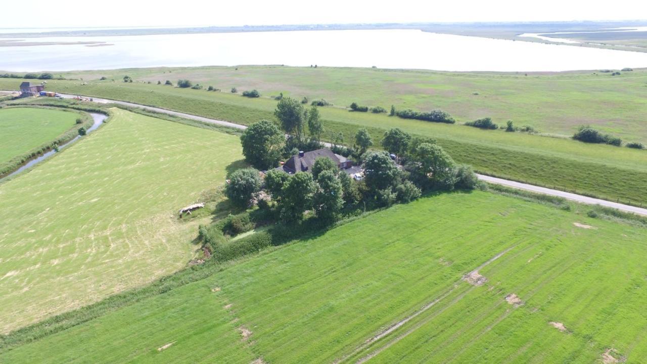 Apartment Diekblick - Kleiner Deichhof Hattstedtermarsch